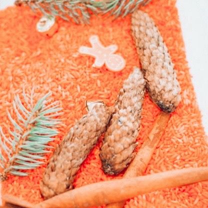 Home Made Sensory Rice - Orange