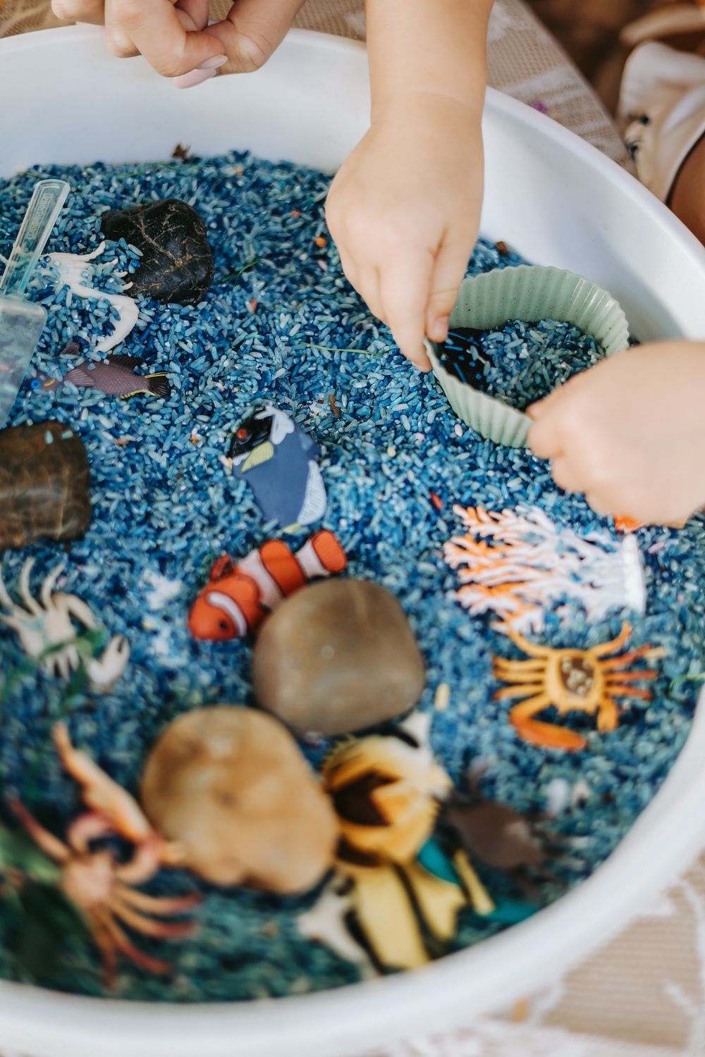 Underwater Exploration Adventure - Rice Sensory Tray Set