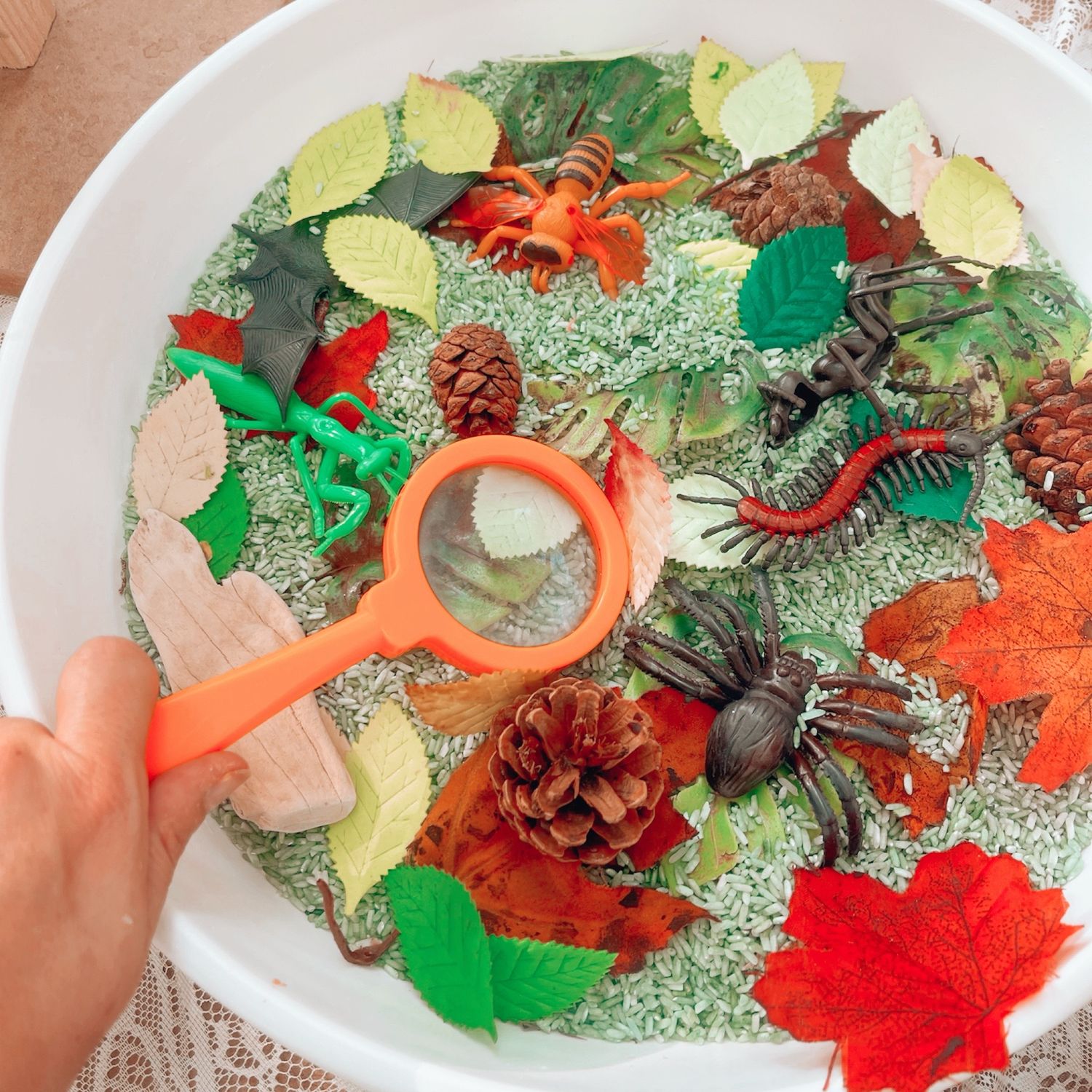 Bug Explorer - Rice Based Sensory Tray &amp; Set