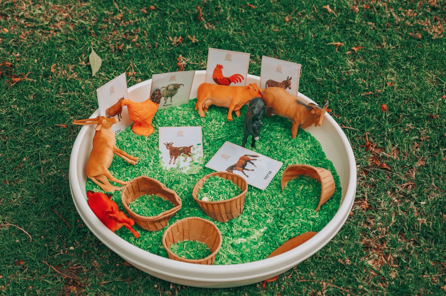 Down on the Farm Jumbo  Animals  - Rice Base Sensory Tray &amp; Set