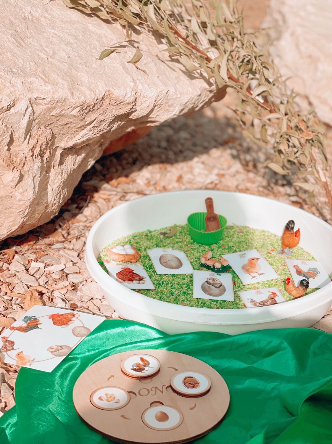 Chicken Lifecycle Montessori Sensory Set