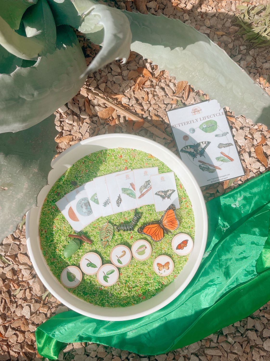 Butterfly Lifecycle Montessori Sensory Set