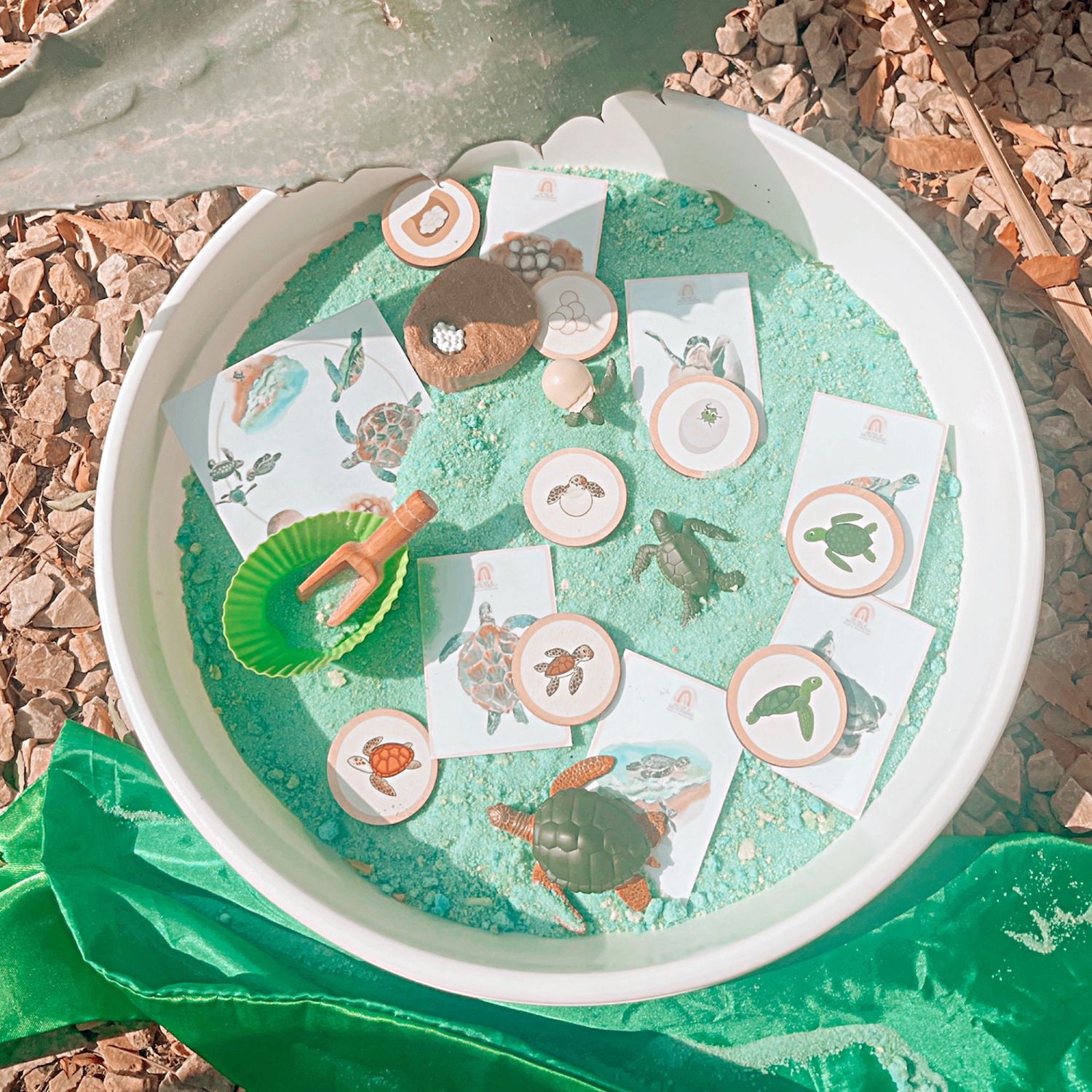 Turtle Lifecycle Montessori Sensory Set