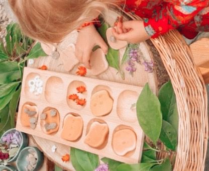 10-Frame Tray