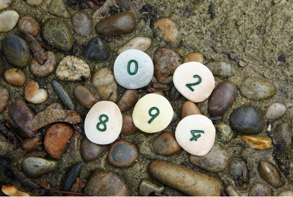 Number Pebbles Number Bonds to 10