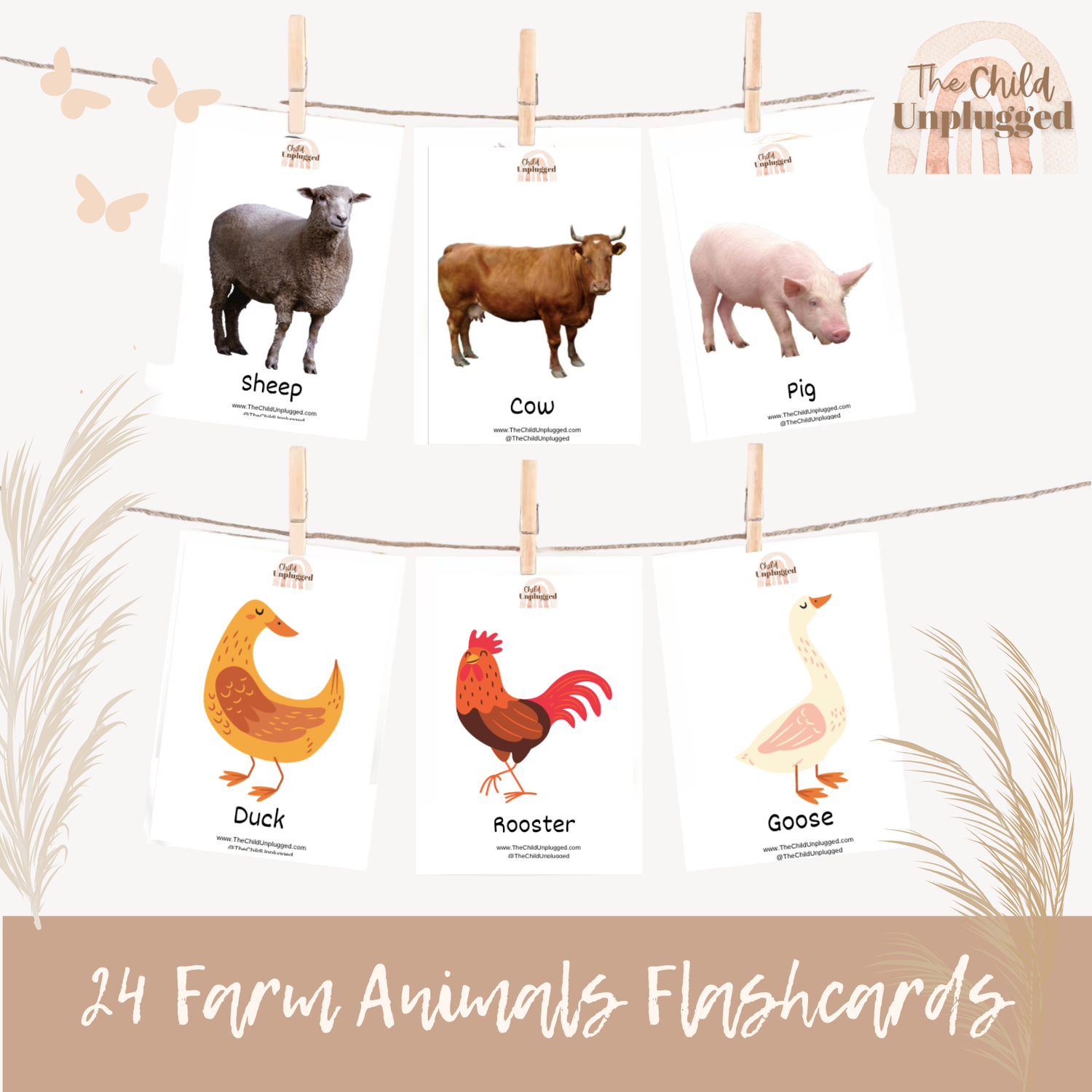 Downloads: Animals - Farm Friends Exploration Flash Cards-12 Pages