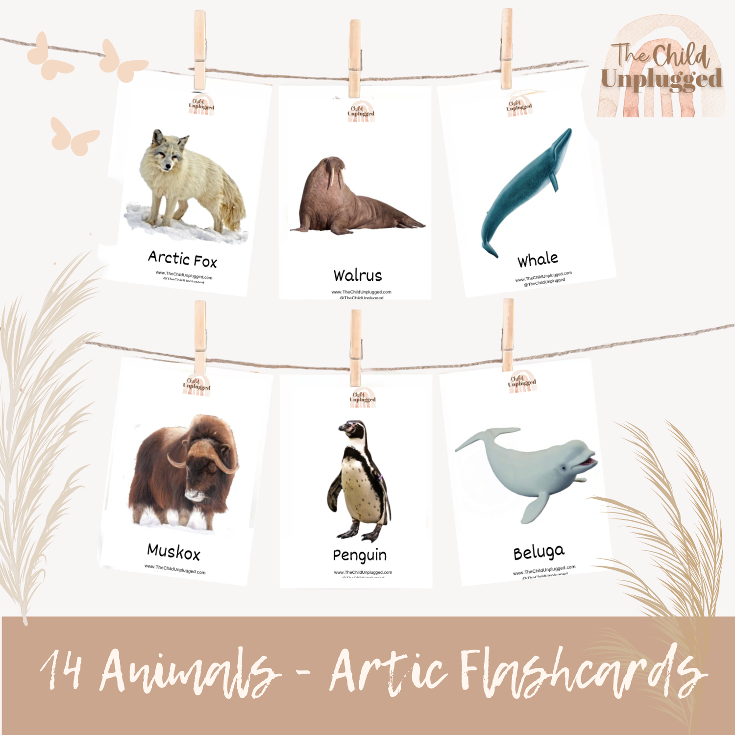 Frozen Kingdom Creatures Cards