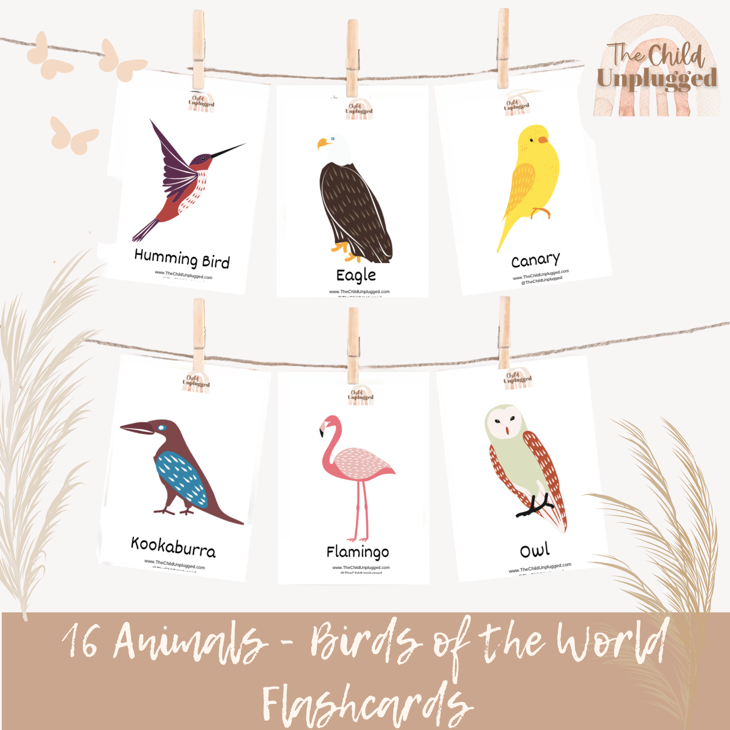 Downloads: Birds of the World Flashcards