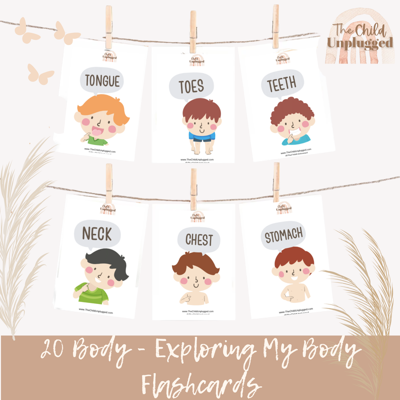 Exploring My Body Cards