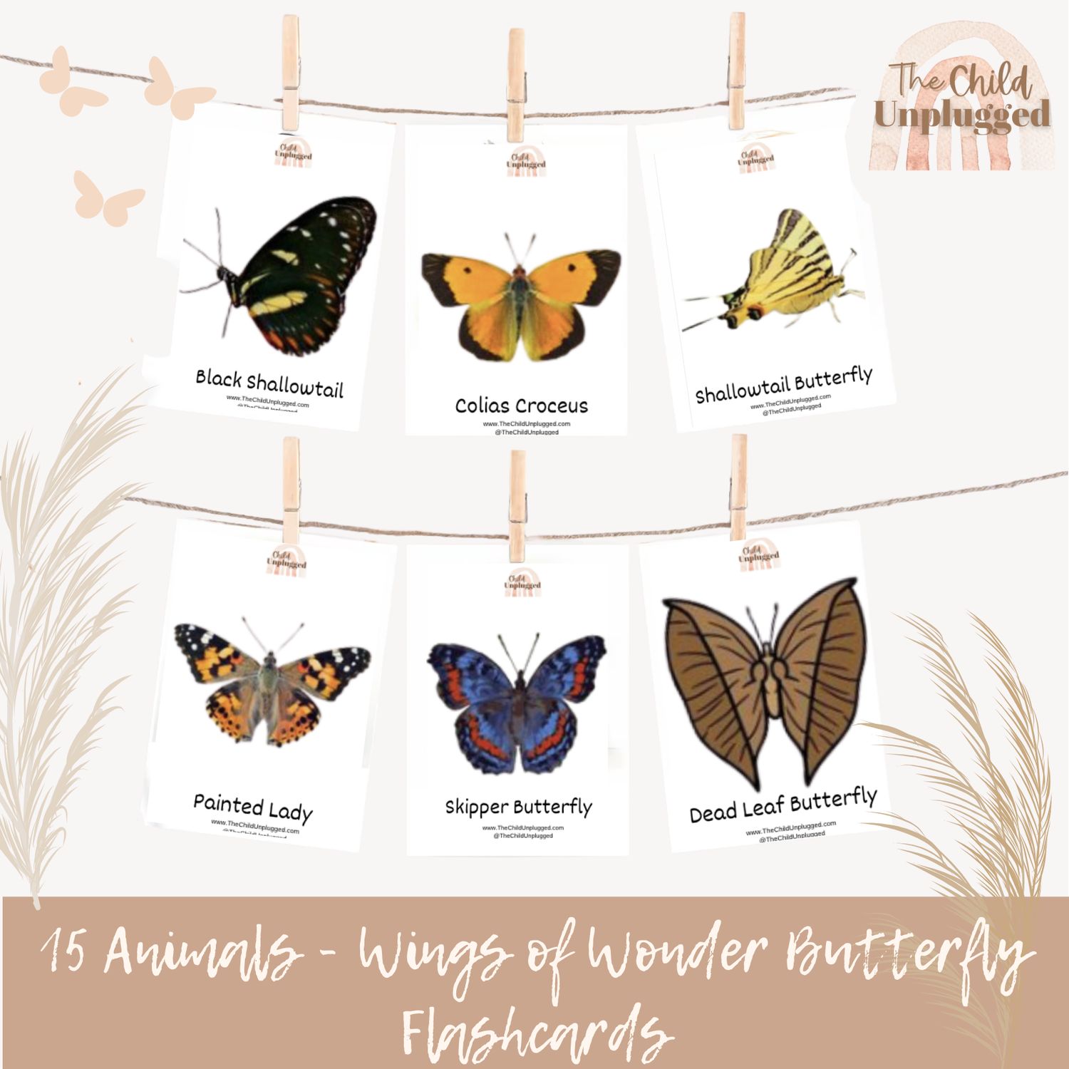 Downloads: Wings of Wonder Butterfly Cards-2 Pages