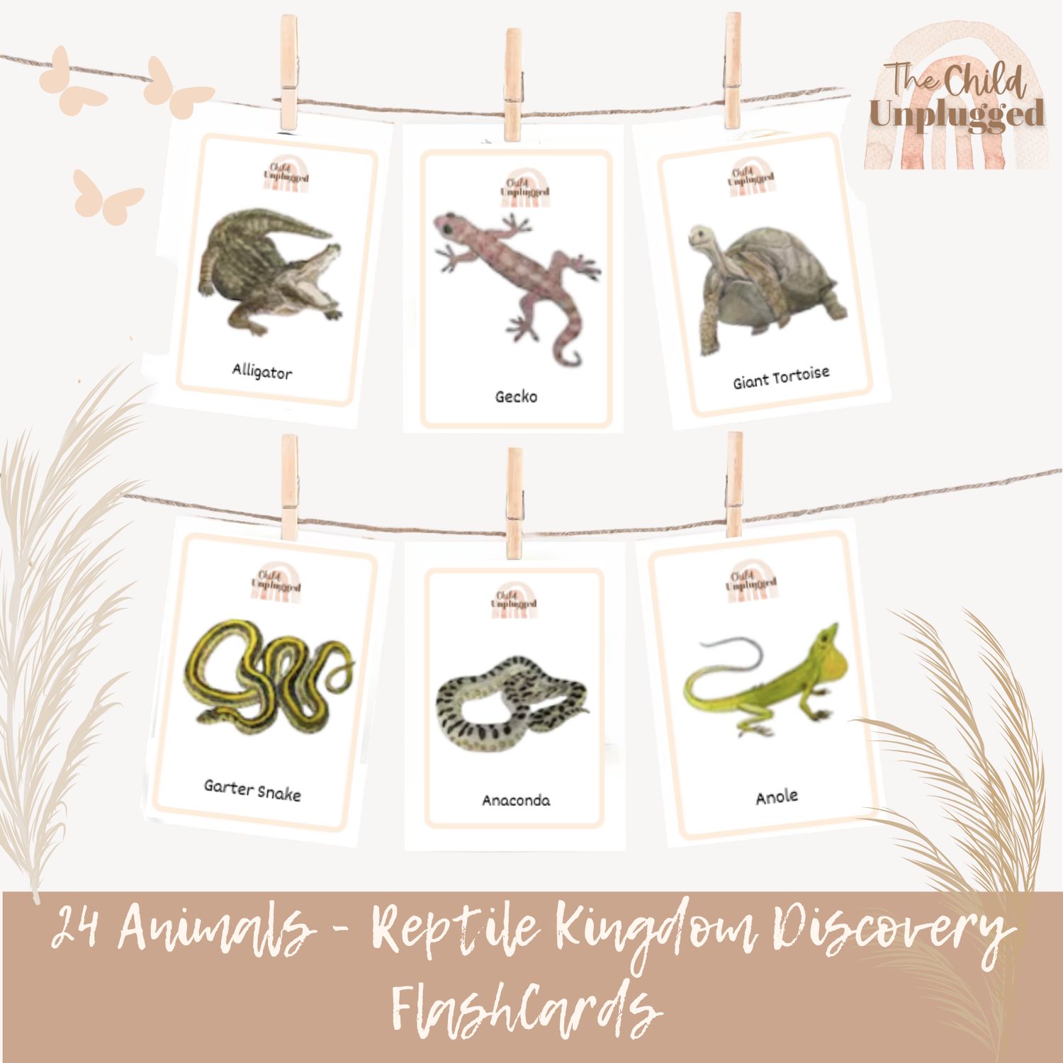 Downloads: Reptile Kingdom Discovery Cards-3 Pages