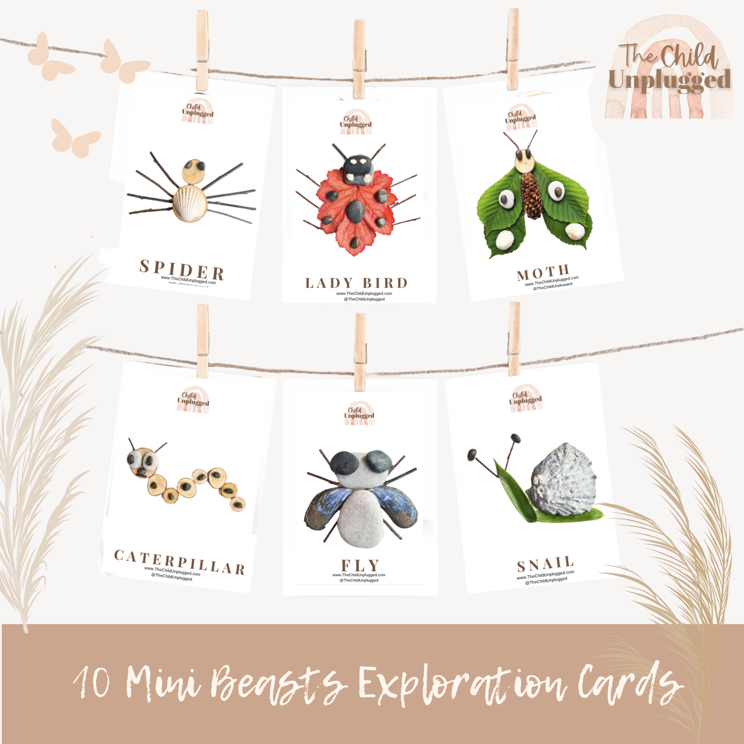 Mini Beasts Exploration Cards