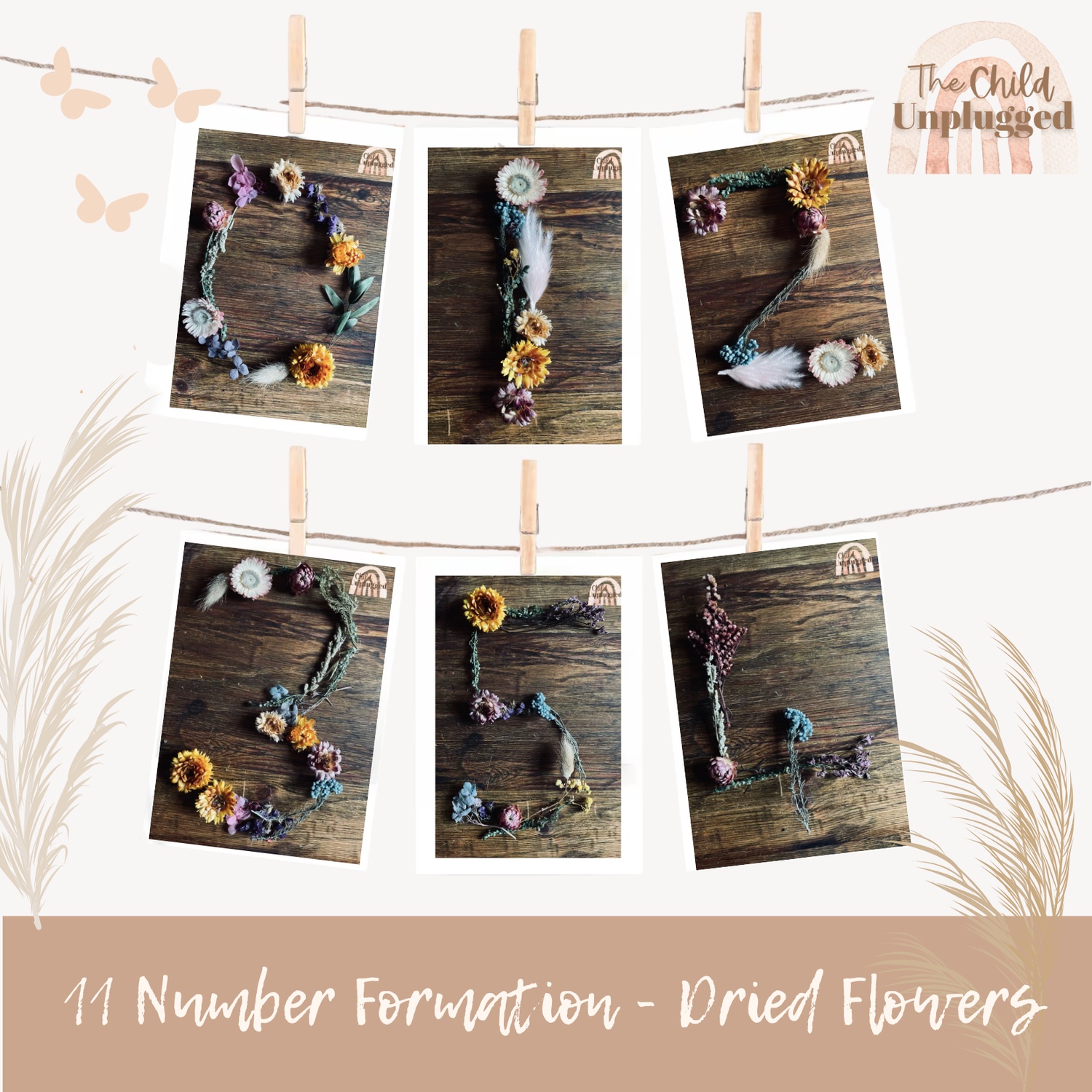 Downloads: Number Formation - Dried Flowers Cards-6 Pages