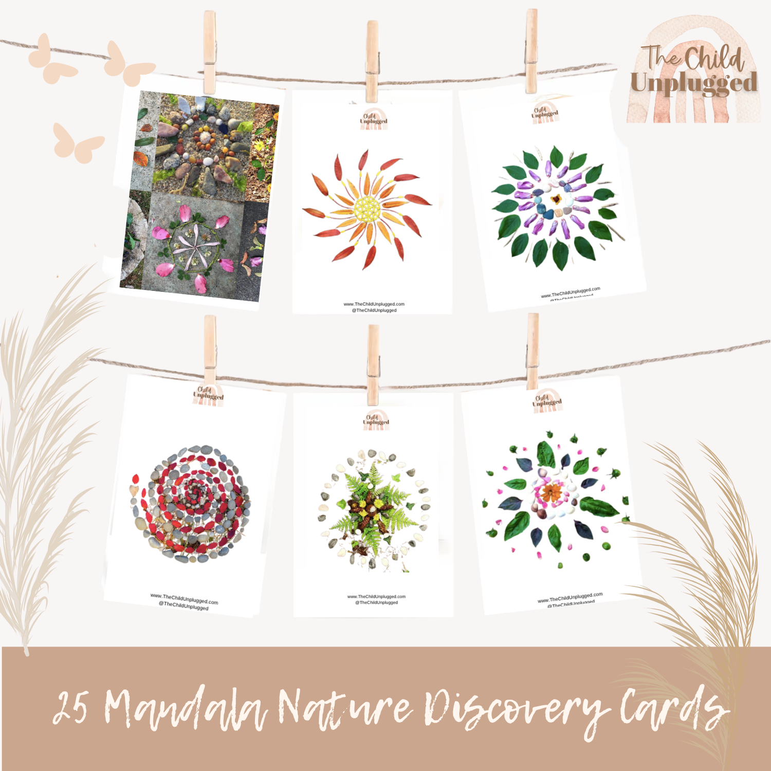 Mandala Nature Discovery Cards