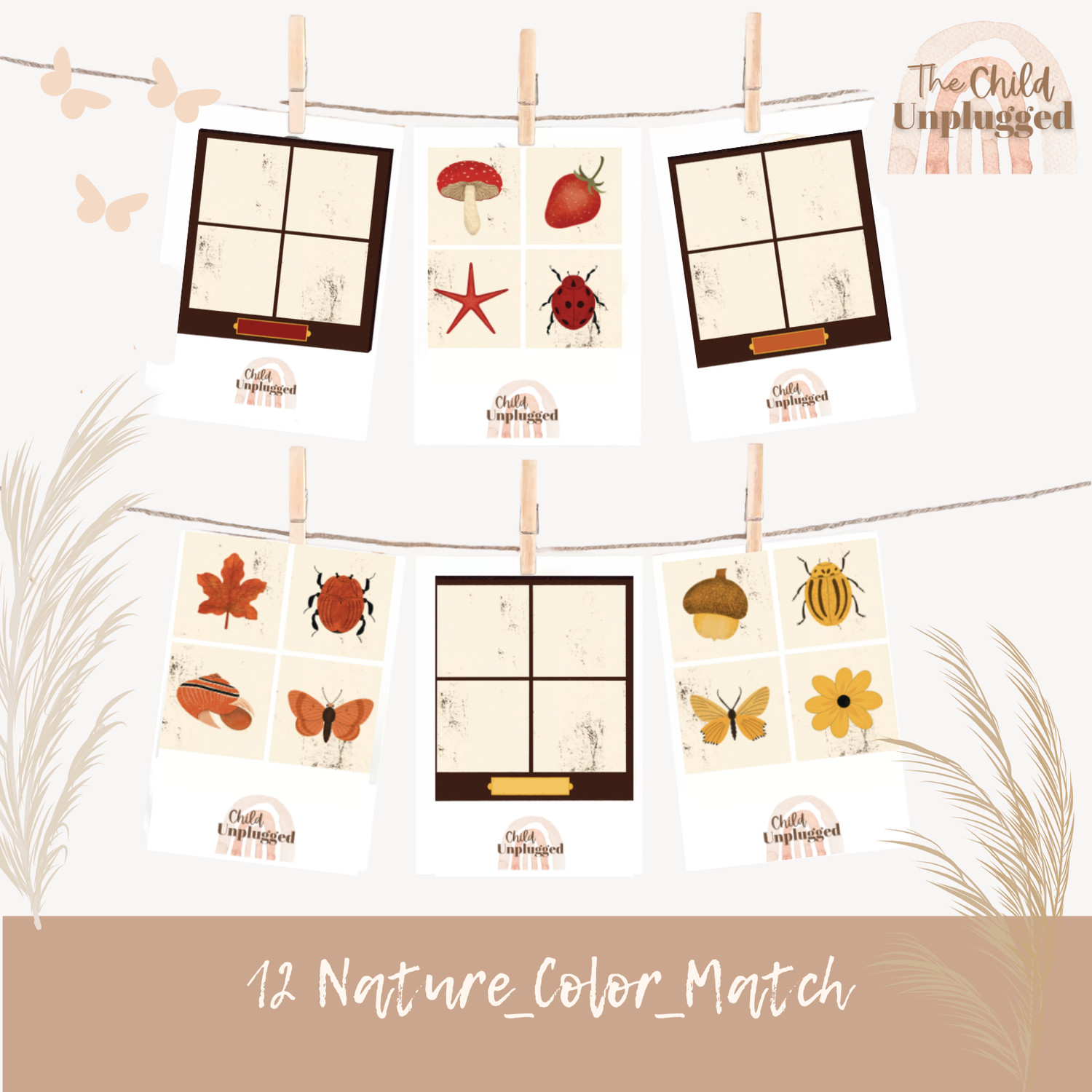 Download: Nature colour Match-12 pages