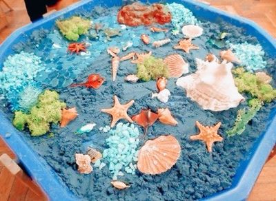 Trays &amp; More