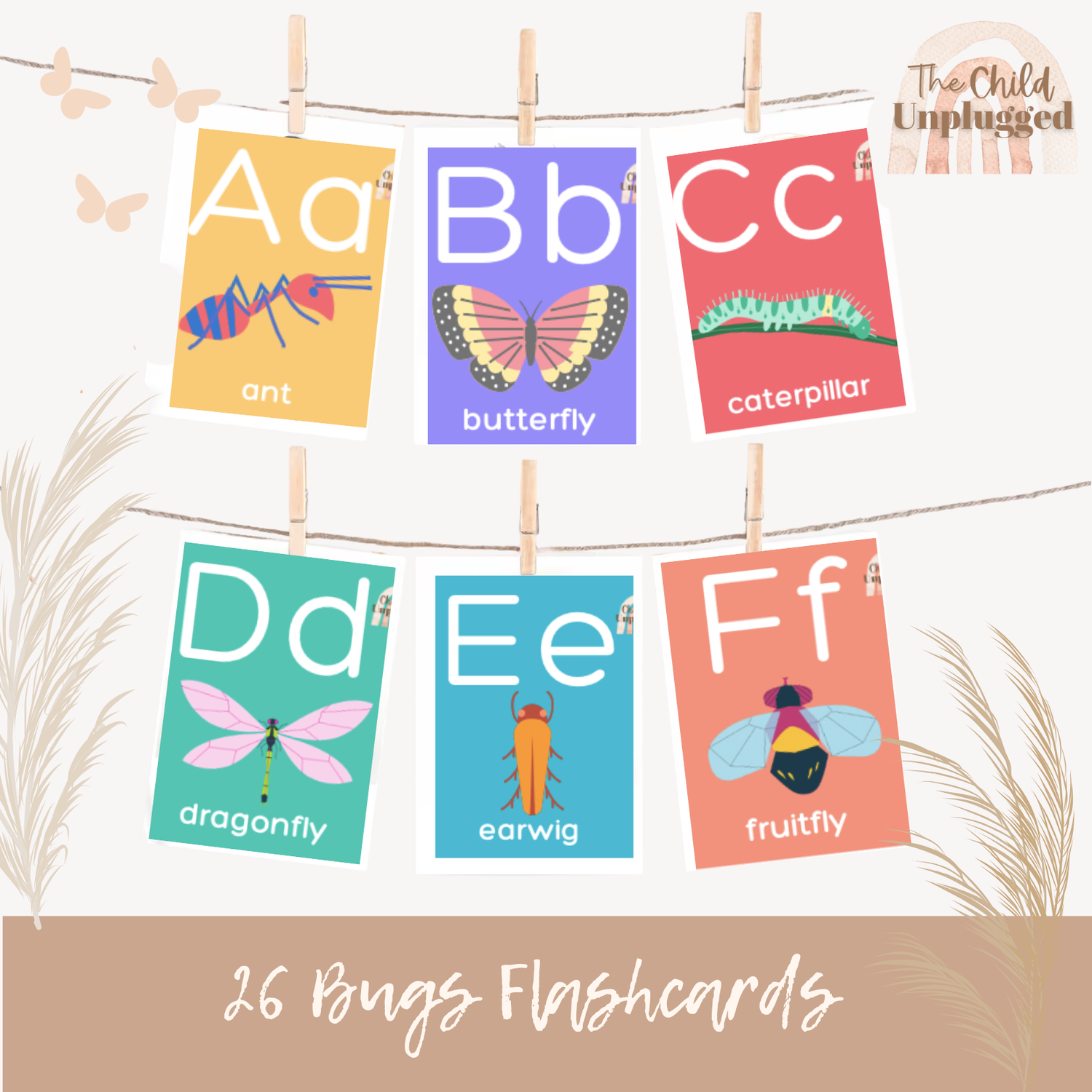Bugs Flashcards