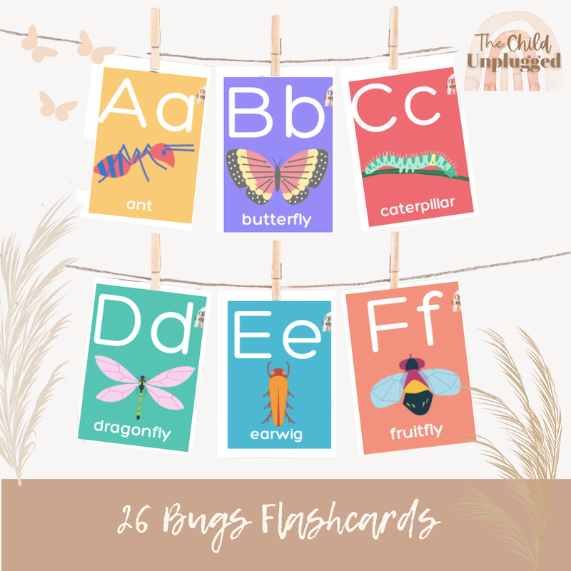 Downloads : Bugs Flashcards- 5 Pages