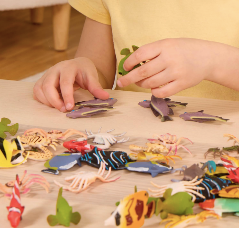 Ocean Wonders: Tropical Fish Collection-Pack of 60