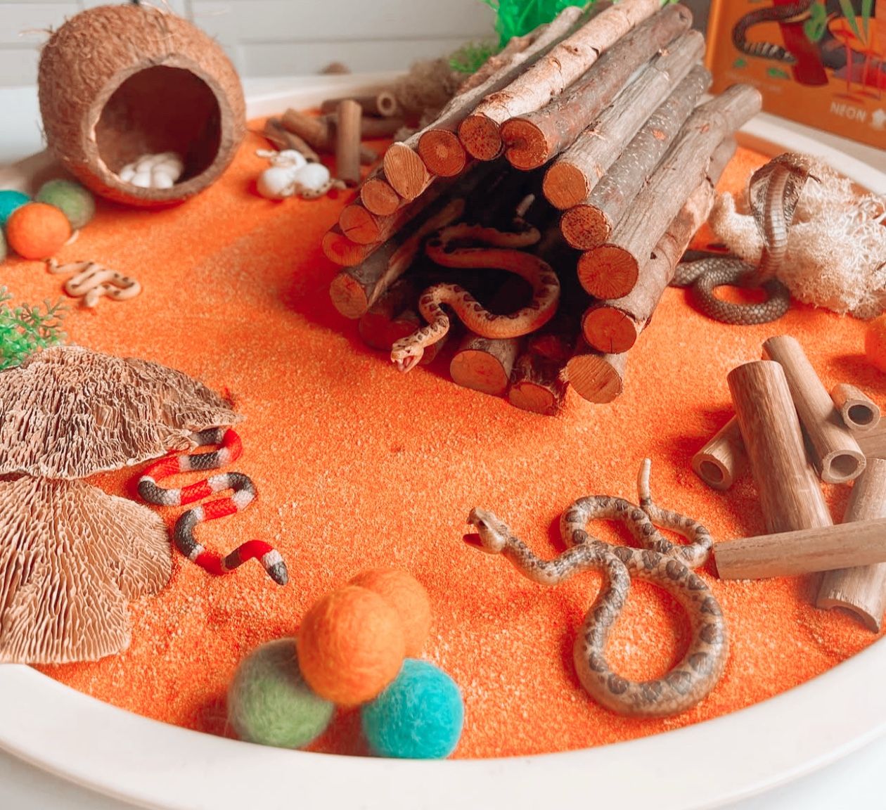 Little Wild Wonders-Snakes