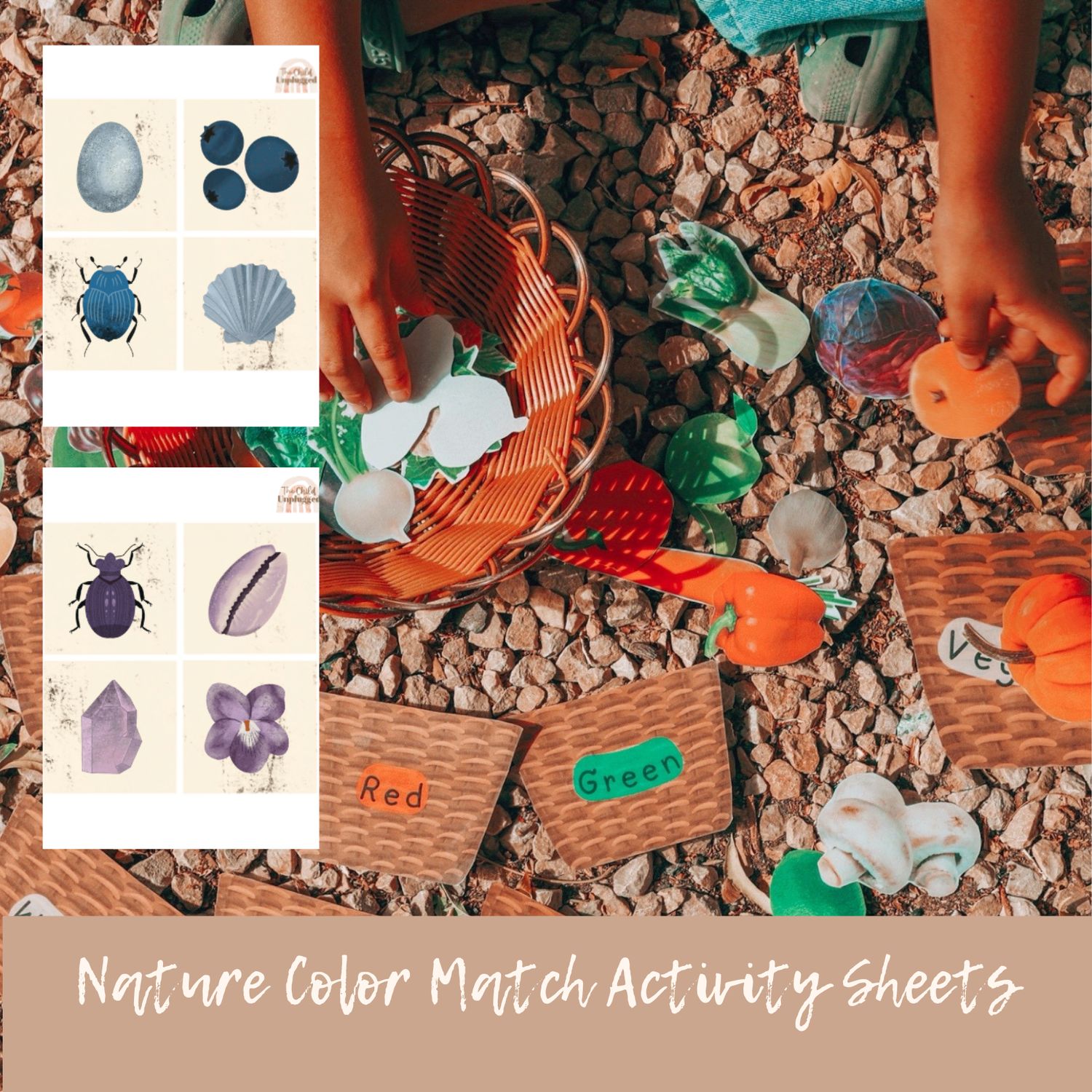 Downloads: Children&#39;s Activity Sheets -Nature Color Match Activity -12 Activities