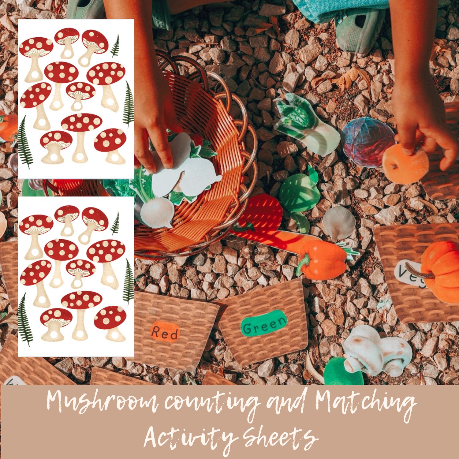 Downloads: Children&#39;s Activity Sheets -Mushroom Counting and Matching Activity - 2 Activities