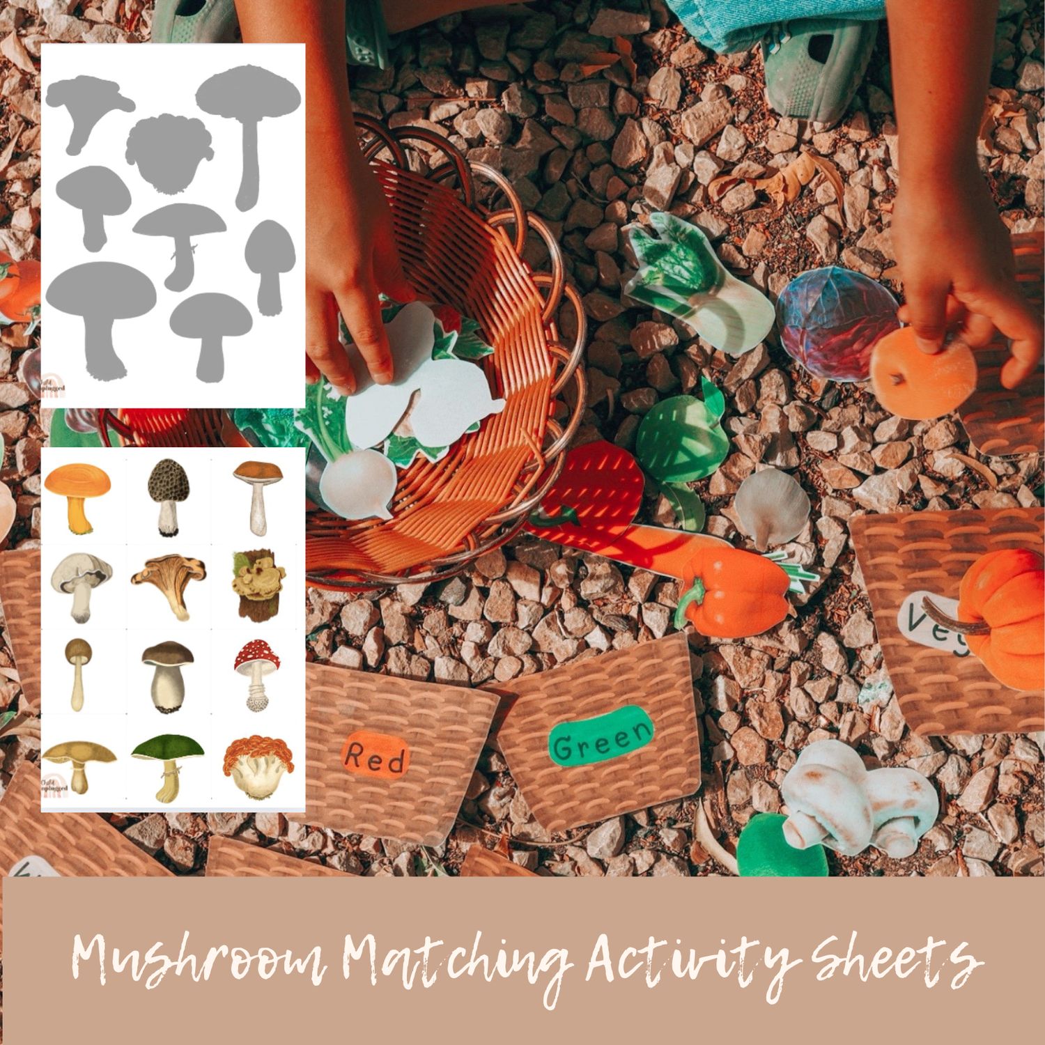 Downloads: Children&#39;s Activity Sheets -Mushroom Matching Activity - 3 Activities