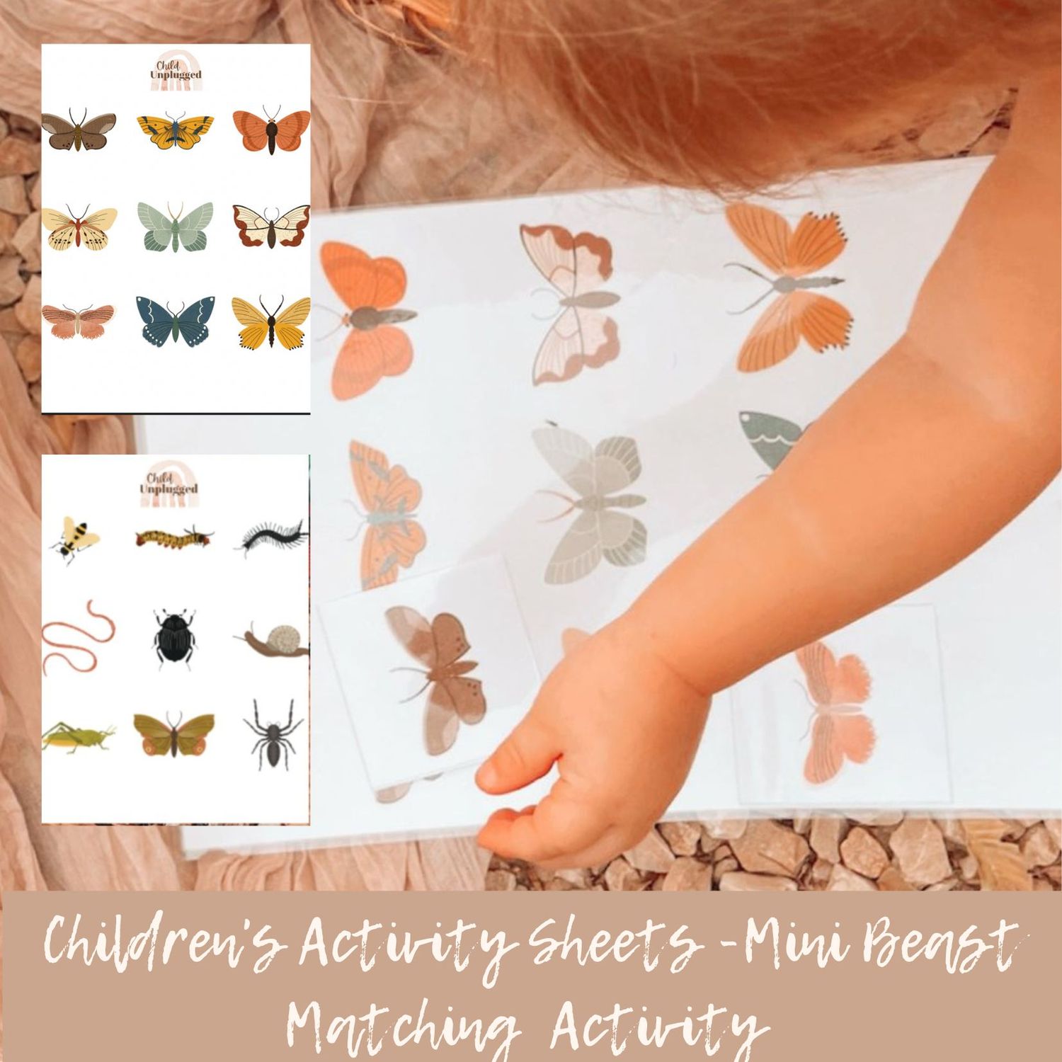 Downloads: Children&#39;s Activity Sheets -Mini Beast Matching  Activity - 6 Activities