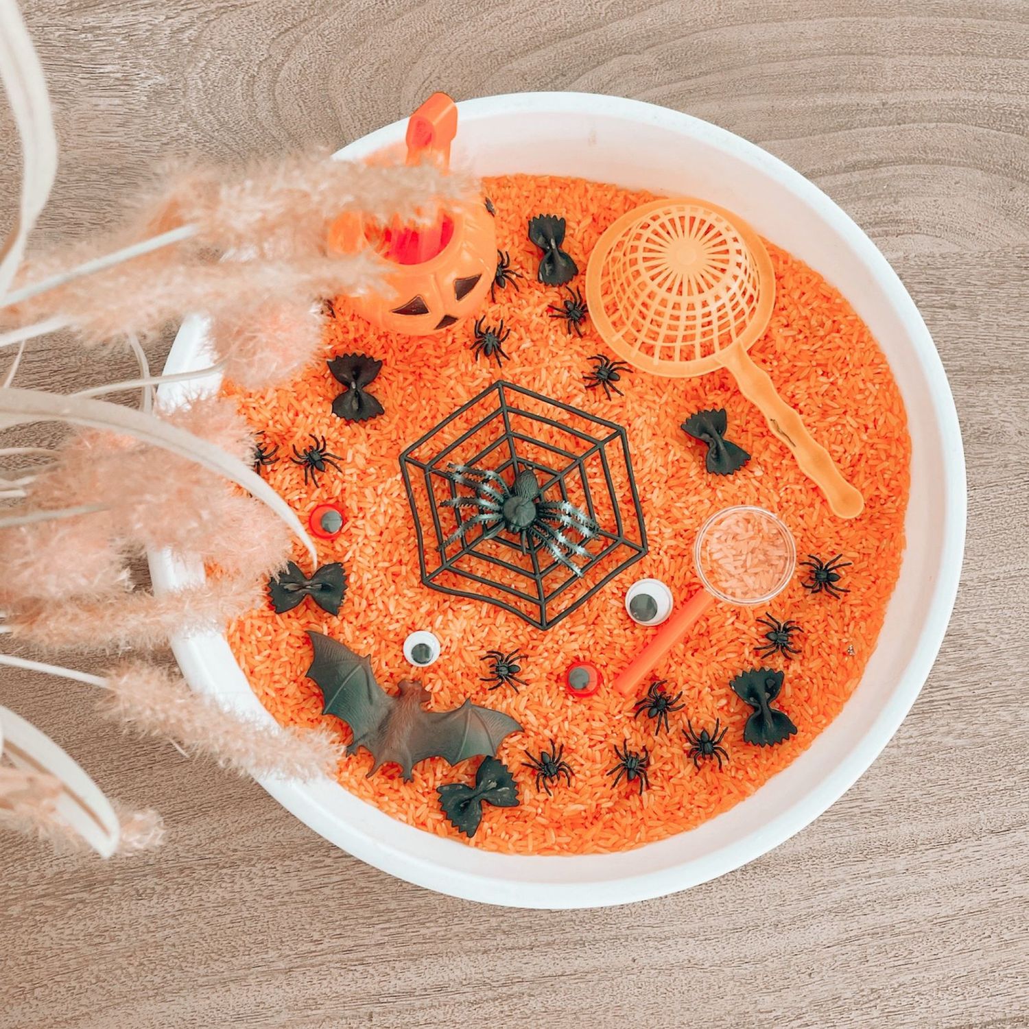 Spooky Spider Hide &amp; Seek-Rice Based Sensory Tray &amp; Set