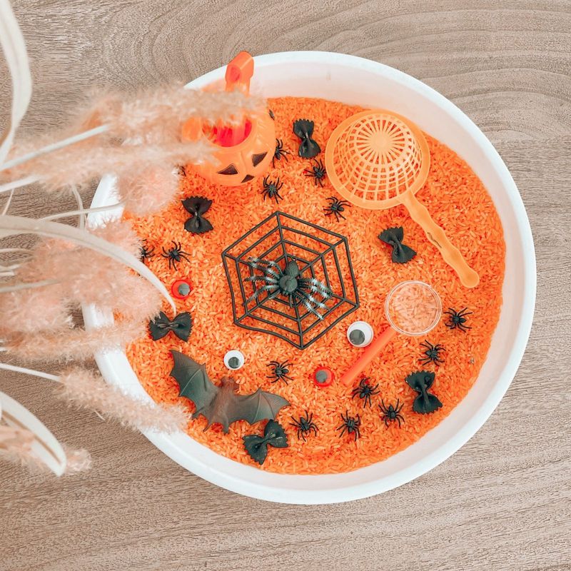 Spooky Spider Hide &amp; Seek-Rice Based Sensory Tray &amp; Set