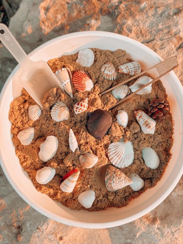 Sandy Seashell Discovery Tray