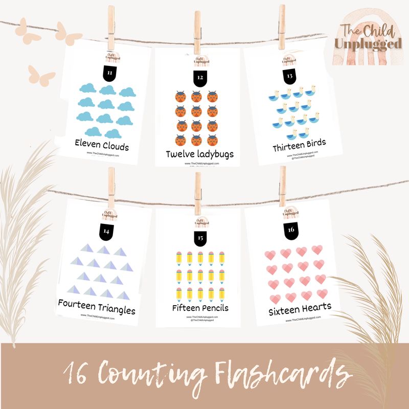 Count &amp; Learn Cards