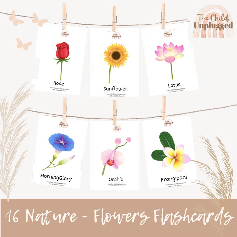 Downloads: Flower Discovery Cards-2 Pages