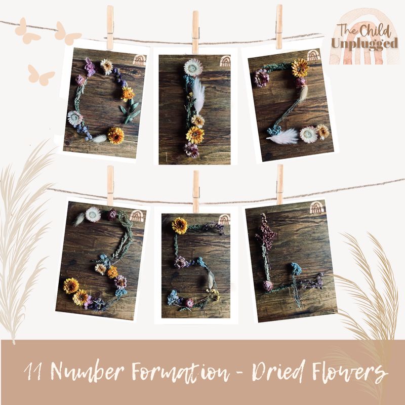 Number Formation - Dried Flowers Cards