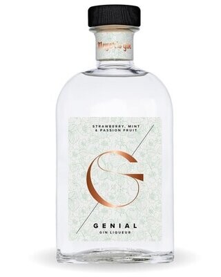 Meyer's gin - Genial Gin Liqueur 24% 50CL