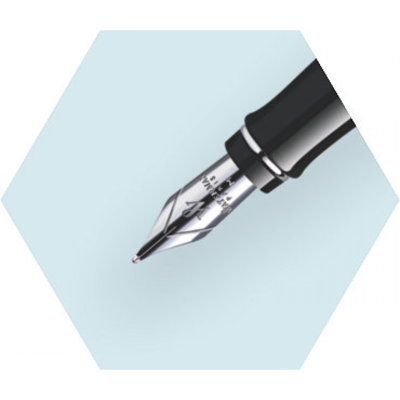 Waterman EXPERT mat black CT vulpen