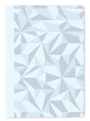 Caran d'Ache notebook ALPINE FROST gelijnd