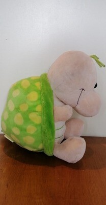 Groene schildpad