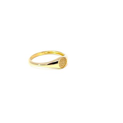Ring "Signet Stones 9kt Gold"