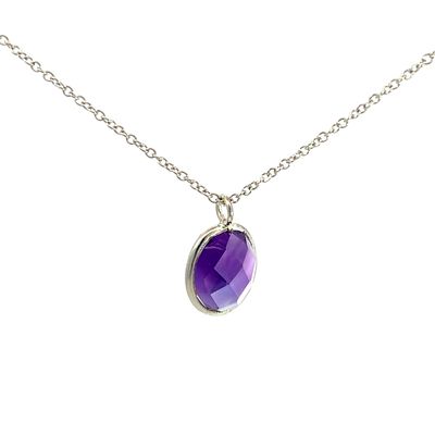 Halsketting "Birthstone FEBRUARI"