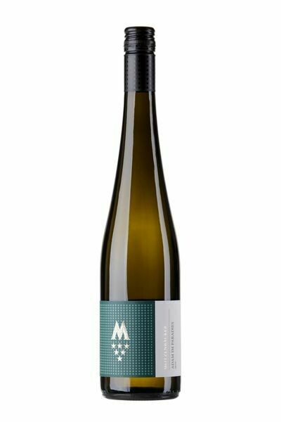 Weissburgunder/ Chardonnay ADAM im Paradies