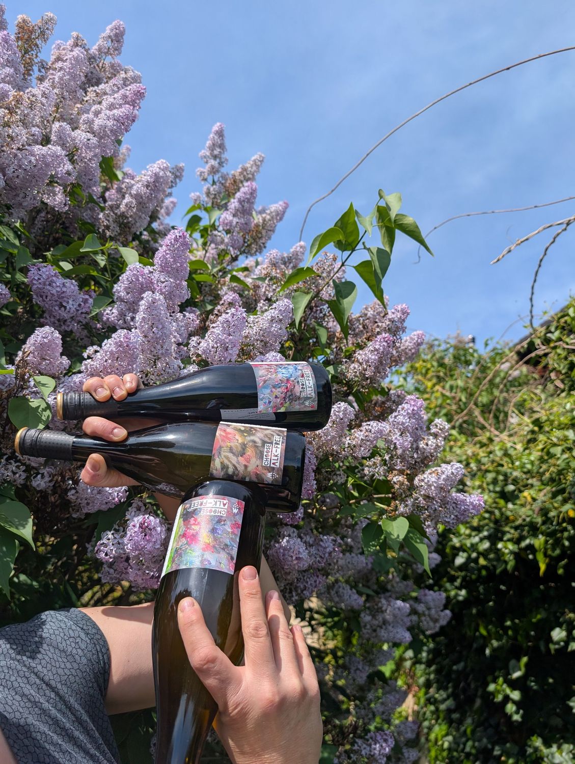 ALK-Free Pinot Noir & Merlot