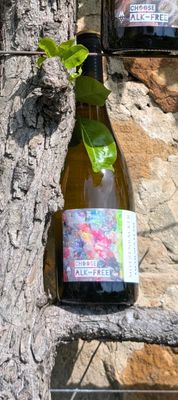 ALK-Free Sauvignon Blanc ALK-Free Sauvignon Blanc