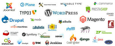 Business Localization and Translation Services
