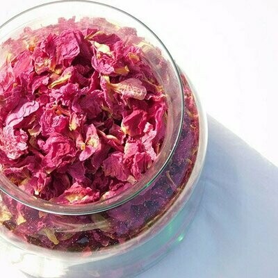 Paula Fay - Bright Pink