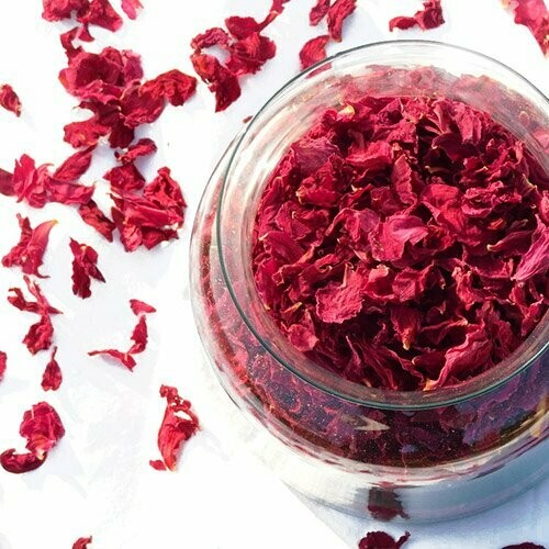 Command Performance - Bright Red