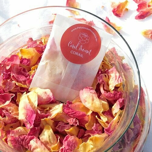 Coral Sunset - Coral