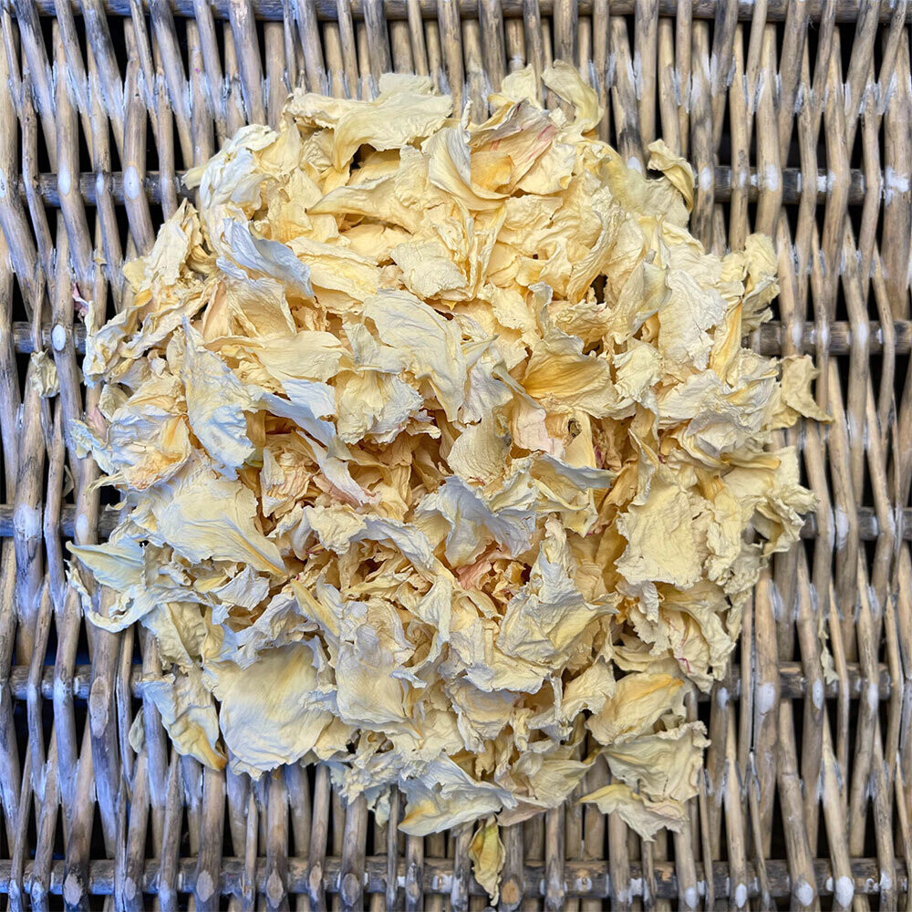 Duchesse de Nemours - Cream Duchesse de Nemours - Cream