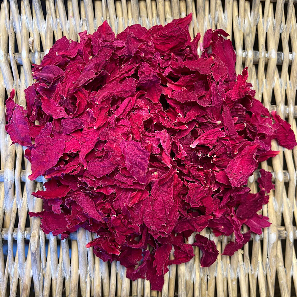 Command Performance - Bright Red