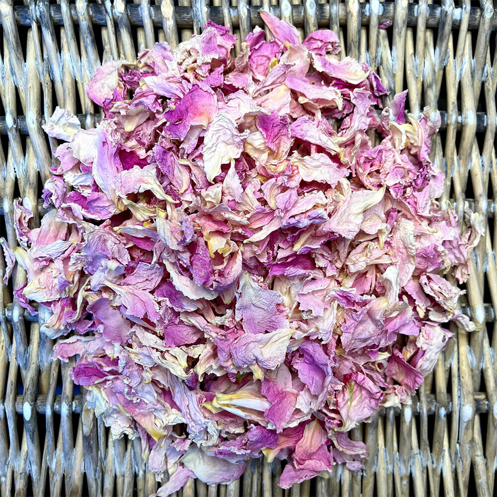 Sarah Bernhardt - Light Pink Sarah Bernhardt - Light Pink